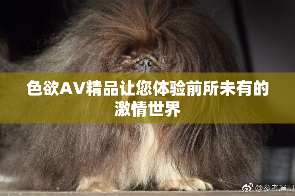 色欲AV精品让您体验前所未有的激情世界