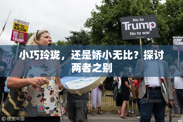 小巧玲珑，还是娇小无比？探讨两者之别