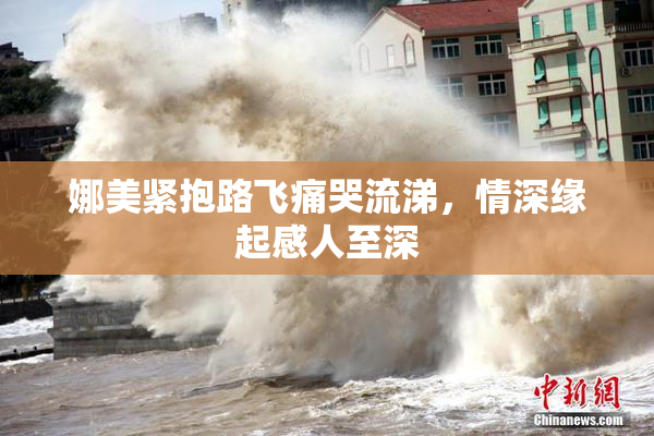 娜美紧抱路飞痛哭流涕，情深缘起感人至深