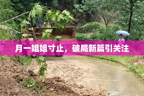 月一姐姐寸止，破局新篇引关注