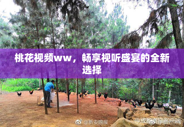 桃花视频ww，畅享视听盛宴的全新选择