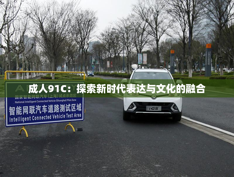 成人91C：探索新时代表达与文化的融合