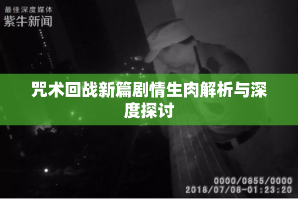 咒术回战新篇剧情生肉解析与深度探讨