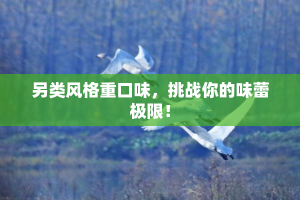 另类风格重口味，挑战你的味蕾极限！