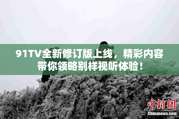91TV全新修订版上线，精彩内容带你领略别样视听体验！