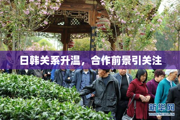 日韩关系升温，合作前景引关注