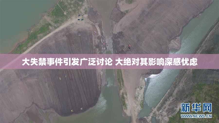 大失禁事件引发广泛讨论 大绝对其影响深感忧虑