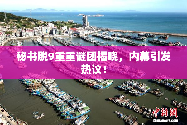秘书脱9重重谜团揭晓，内幕引发热议！