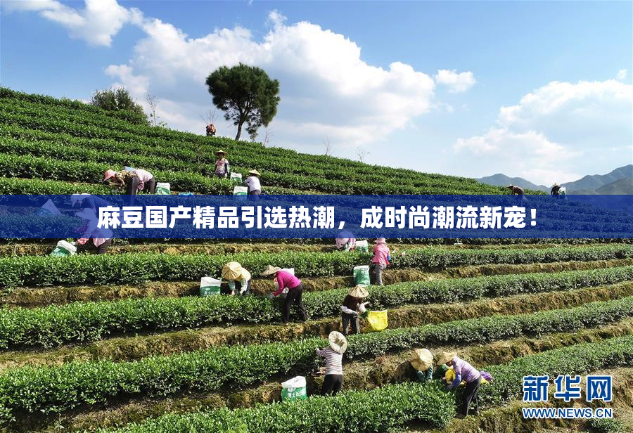麻豆国产精品引选热潮，成时尚潮流新宠！