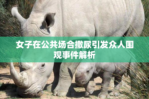 女子在公共场合撒尿引发众人围观事件解析
