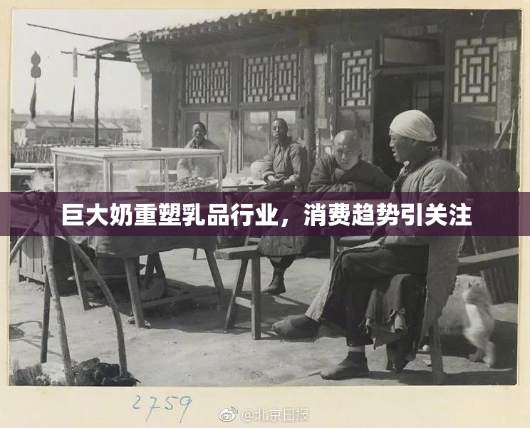 巨大奶重塑乳品行业，消费趋势引关注