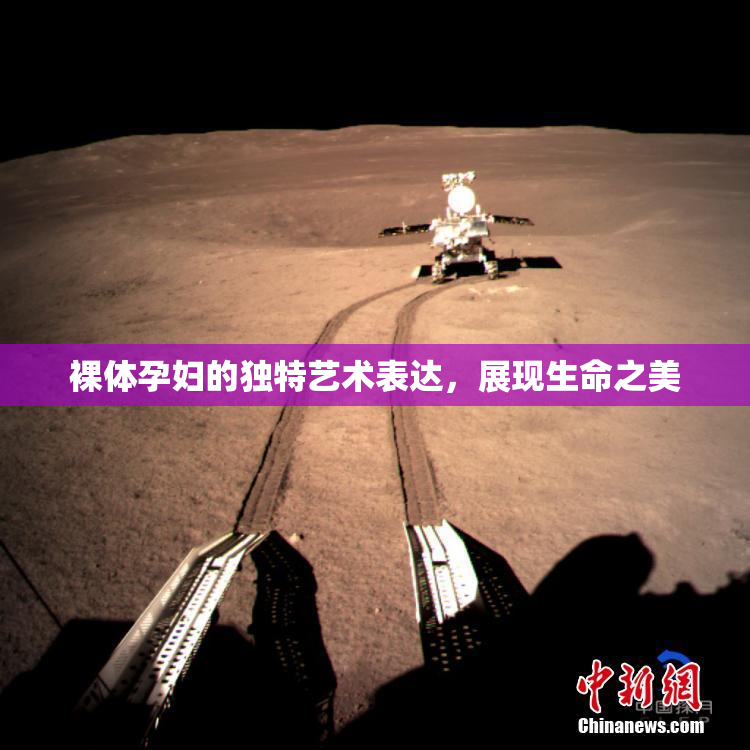裸体孕妇的独特艺术表达，展现生命之美
