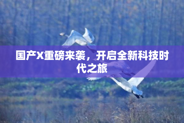 国产X重磅来袭，开启全新科技时代之旅
