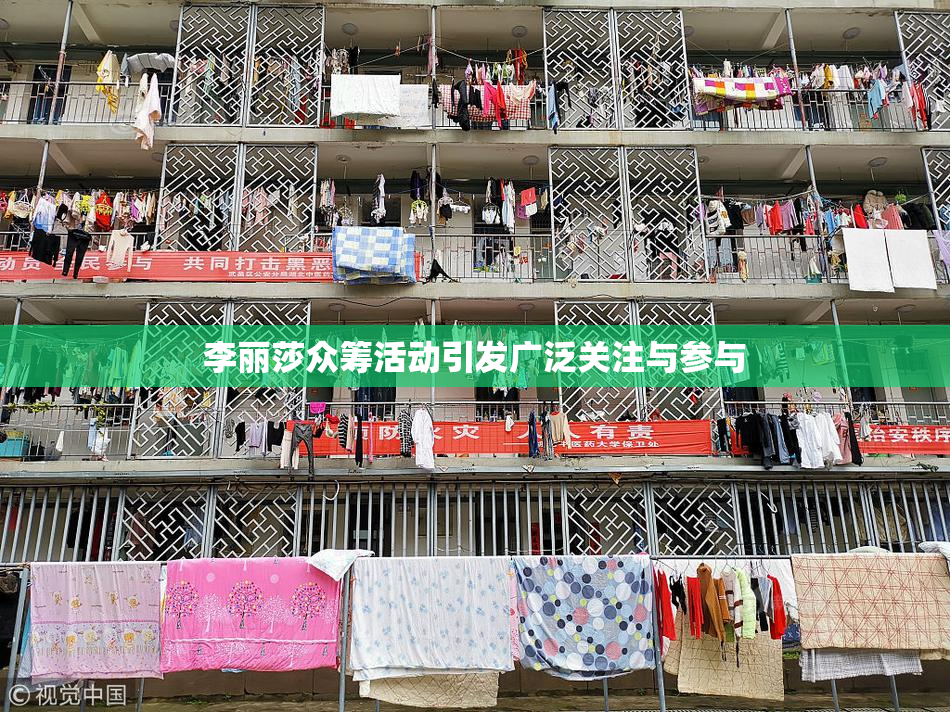 李丽莎众筹活动引发广泛关注与参与