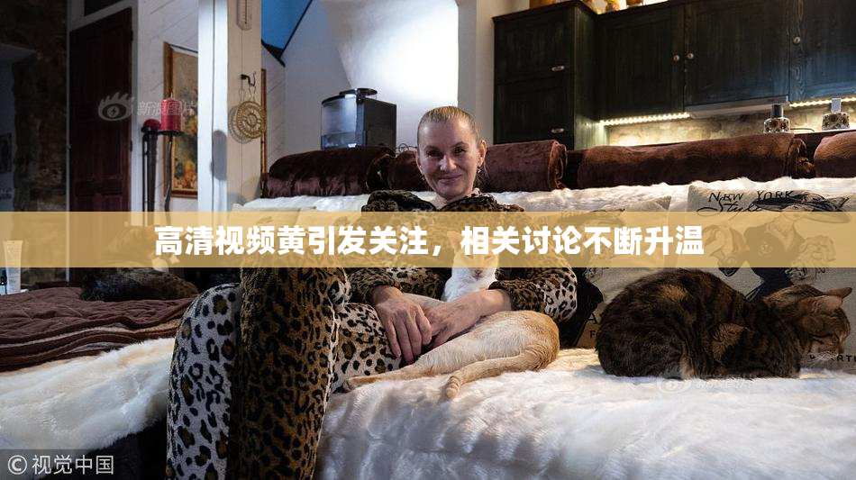高清视频黄引发关注，相关讨论不断升温