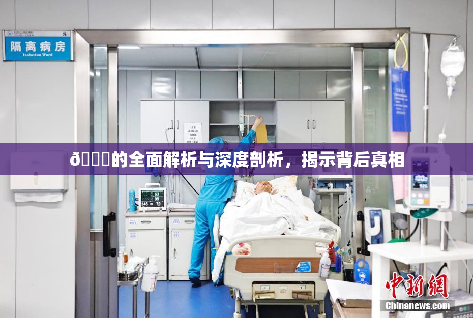 🈚的全面解析与深度剖析，揭示背后真相