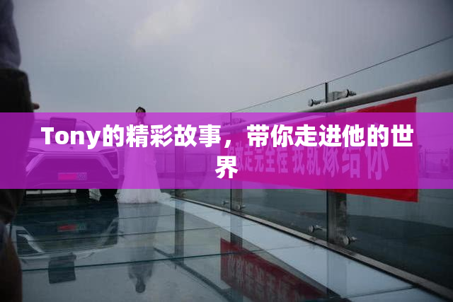 Tony的精彩故事，带你走进他的世界