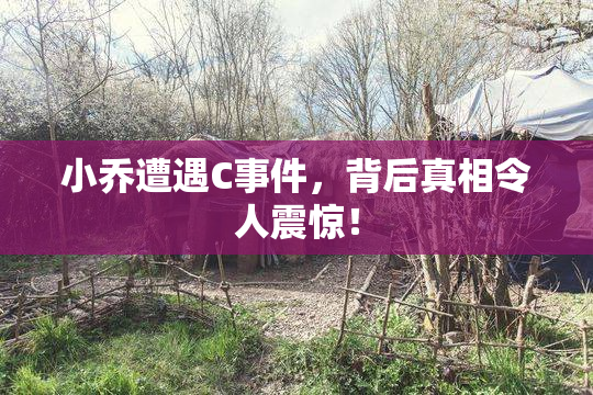 小乔遭遇C事件，背后真相令人震惊！
