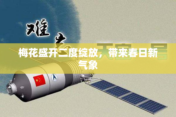 梅花盛开二度绽放，带来春日新气象