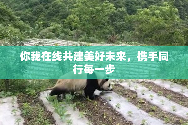 你我在线共建美好未来，携手同行每一步