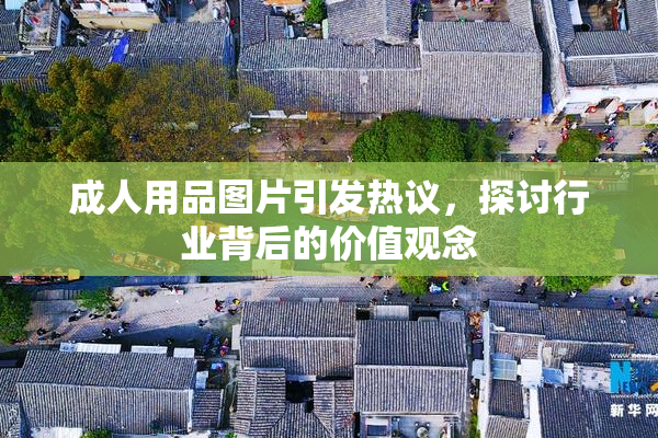成人用品图片引发热议，探讨行业背后的价值观念