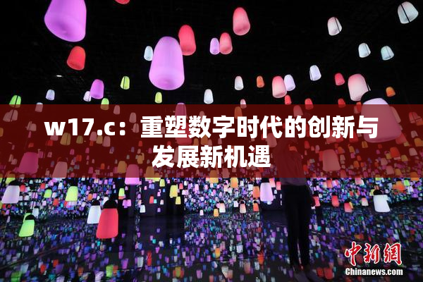 w17.c：重塑数字时代的创新与发展新机遇