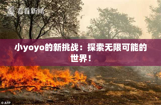 小yoyo的新挑战：探索无限可能的世界！