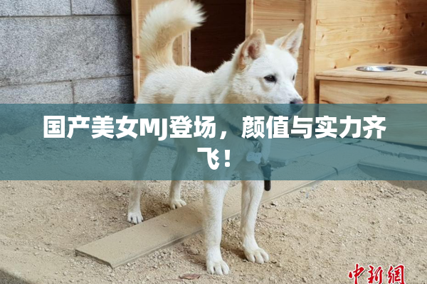 国产美女MJ登场，颜值与实力齐飞！