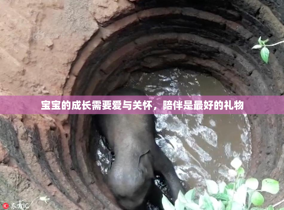 宝宝的成长需要爱与关怀，陪伴是最好的礼物