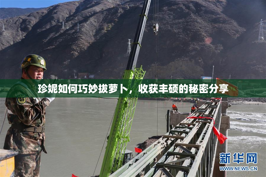 珍妮如何巧妙拔萝卜，收获丰硕的秘密分享