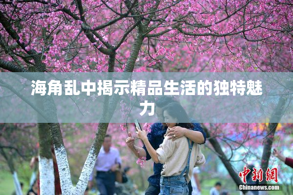 海角乱中揭示精品生活的独特魅力