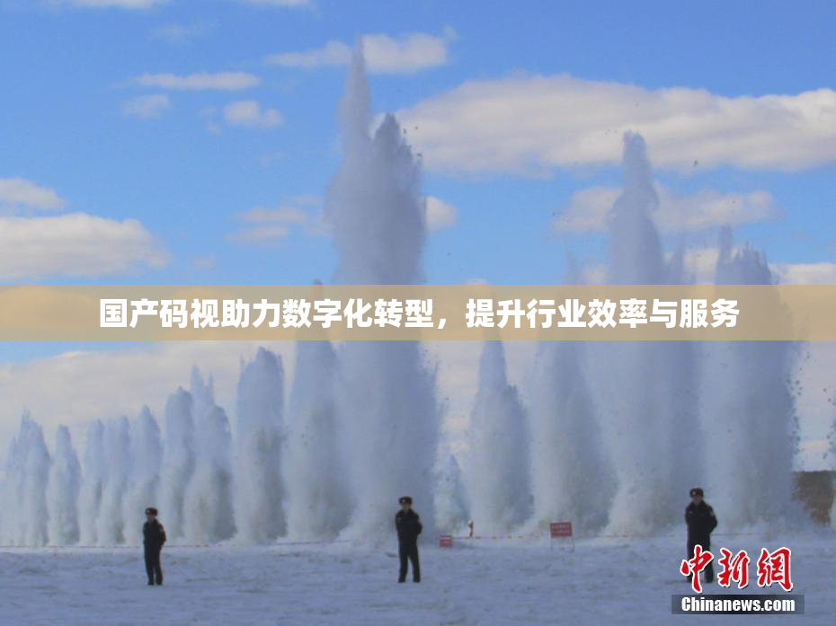 国产码视助力数字化转型，提升行业效率与服务