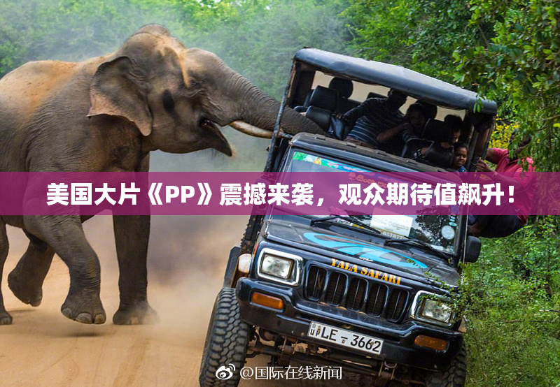 美国大片《PP》震撼来袭，观众期待值飙升！