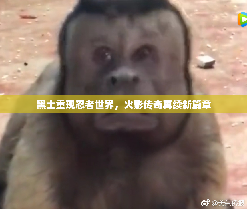 黑土重现忍者世界，火影传奇再续新篇章