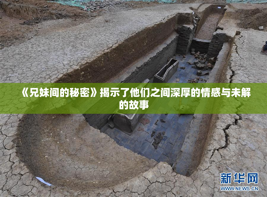 《兄妹间的秘密》揭示了他们之间深厚的情感与未解的故事