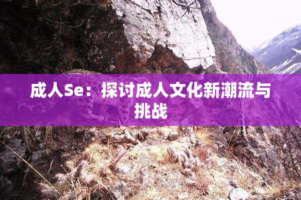 成人Se：探讨成人文化新潮流与挑战