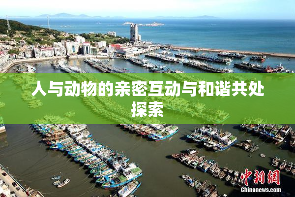 人与动物的亲密互动与和谐共处探索