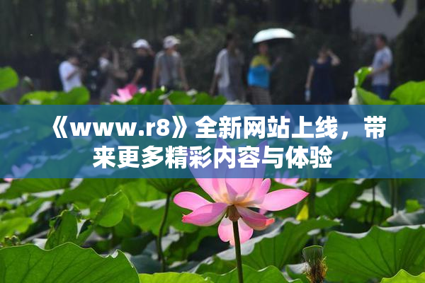 《www.r8》全新网站上线，带来更多精彩内容与体验