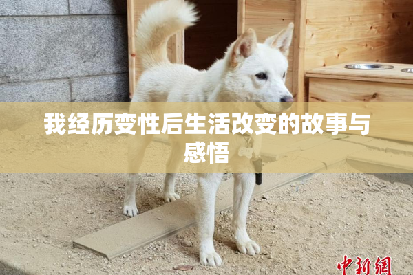 我经历变性后生活改变的故事与感悟