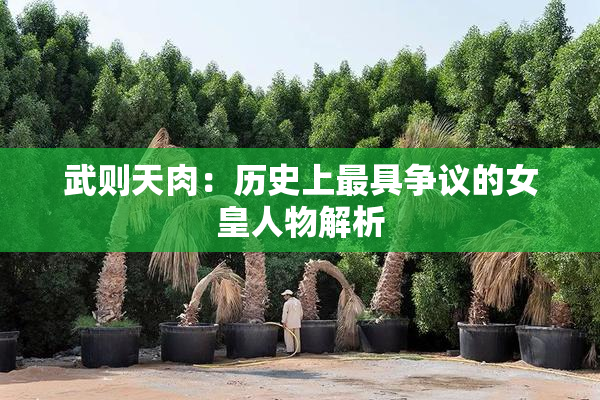 武则天肉：历史上最具争议的女皇人物解析