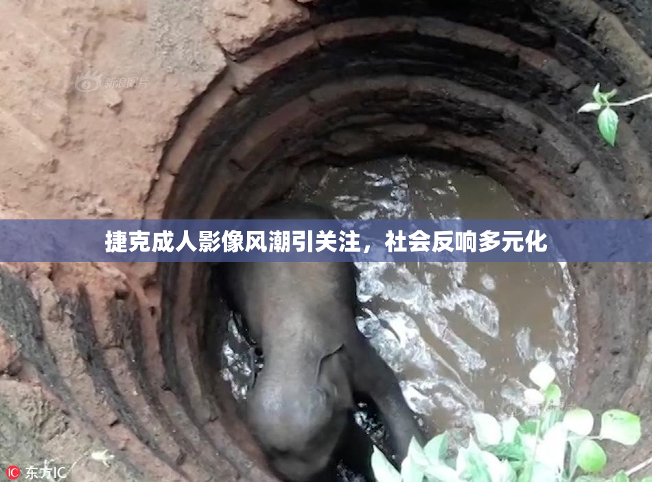 捷克成人影像风潮引关注，社会反响多元化