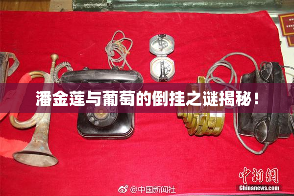 潘金莲与葡萄的倒挂之谜揭秘！