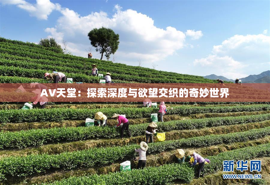 AV天堂：探索深度与欲望交织的奇妙世界