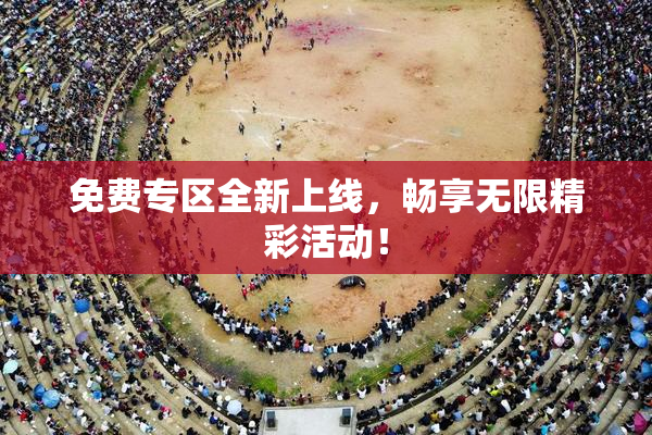 免费专区全新上线，畅享无限精彩活动！