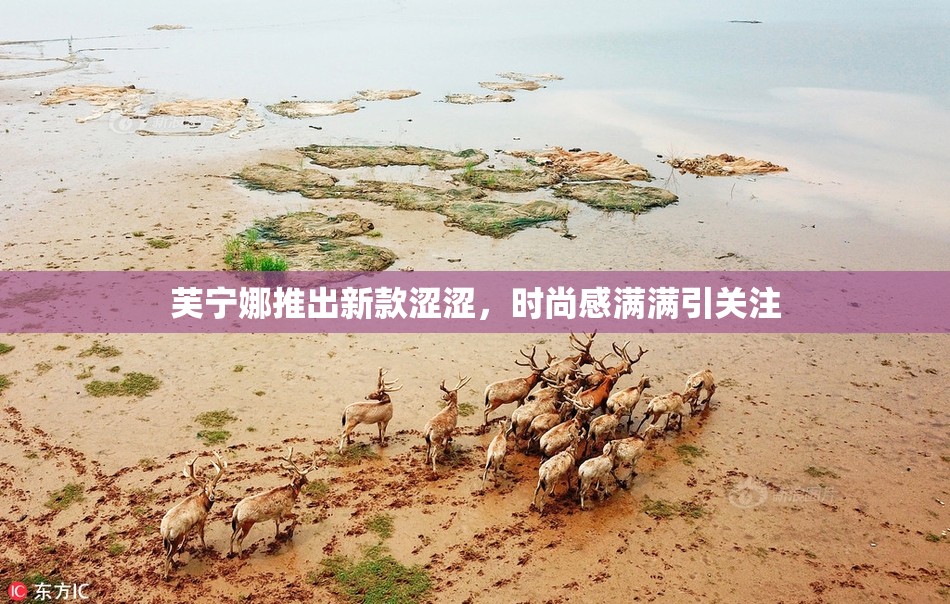 芙宁娜推出新款涩涩，时尚感满满引关注