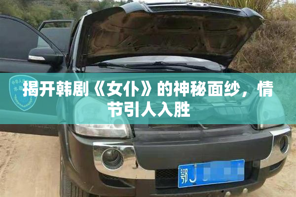 揭开韩剧《女仆》的神秘面纱，情节引人入胜