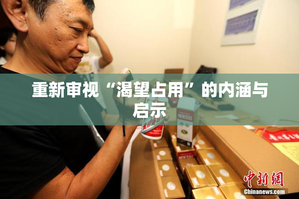 重新审视“渴望占用”的内涵与启示