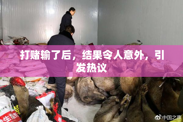 打赌输了后，结果令人意外，引发热议
