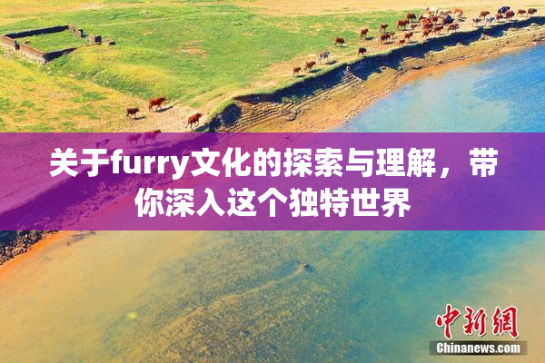 关于furry文化的探索与理解，带你深入这个独特世界