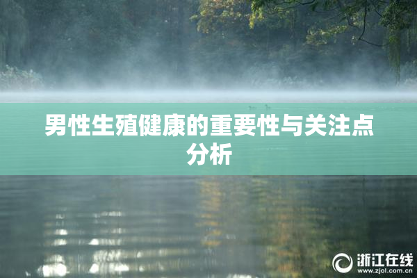 男性生殖健康的重要性与关注点分析